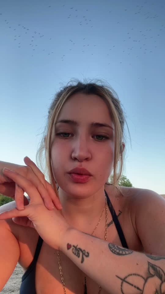 Favi121102