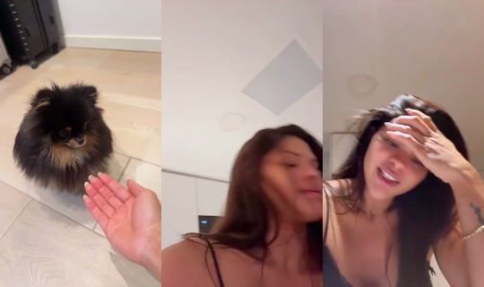 Fox.gostozinha's Stream - Aug 8, 2026, 11:38 PM