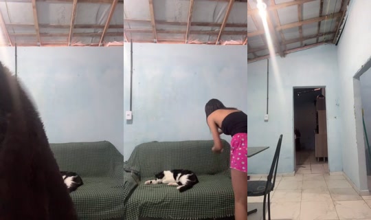 Hf.sam's Stream - Jul 29, 2026, 6:43 PM