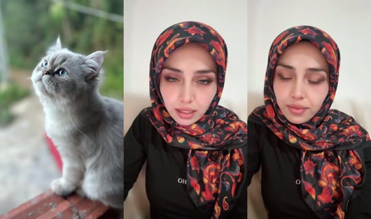 Kedi.Annesi 的直播 - 2026年10月16日 19:31