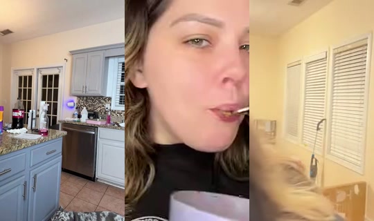 Lanedivine's Stream - Jul 27, 2026, 4:17 AM