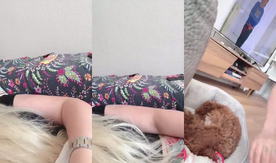 Liyelsam's Stream - Jul 29, 2026, 6:15 AM