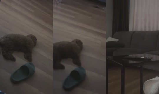 Liyelsam's Stream - Jul 29, 2026, 7:14 PM