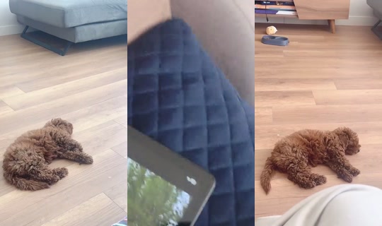 Liyelsam's Stream - Aug 7, 2026, 7:27 AM