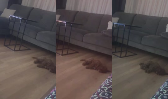 Liyelsam's Stream - Aug 7, 2026, 5:56 PM