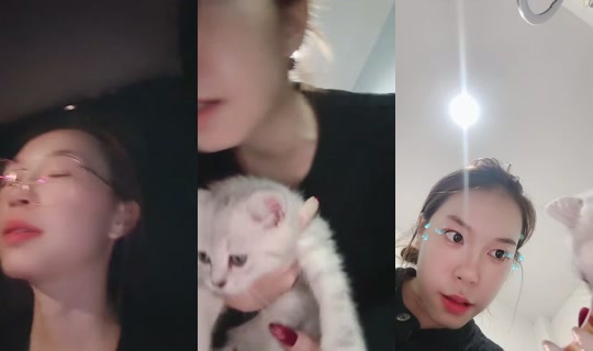 Mini2646's Stream - Aug 5, 2026, 1:34 PM