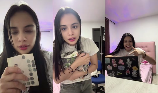 Miniii_'s Stream - Jul 27, 2026, 11:19 PM