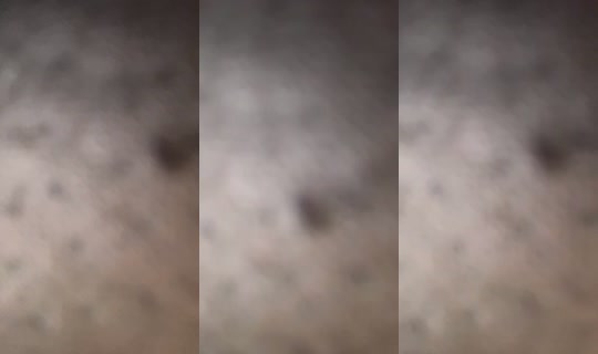 Obsessedwmarlee's Stream - Jul 30, 2026, 11:16 AM