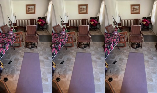 Stream von PD3696969 – 18. Aug. 2026, 16:56