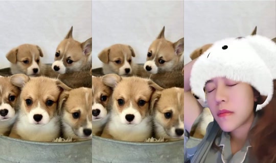 Pukkardjade's Stream - Jul 20, 2026, 2:42 PM