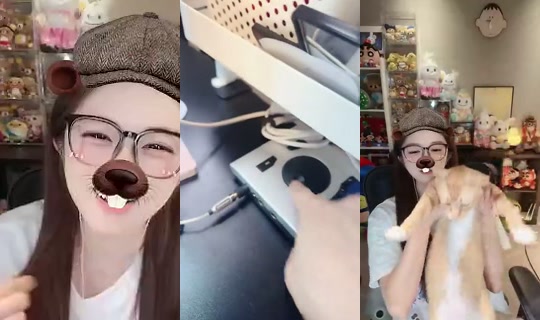 ShuyiLily's Stream - Jul 24, 2026, 9:16 AM