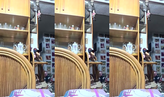 Sonricita's Stream - Jul 27, 2026, 2:38 AM