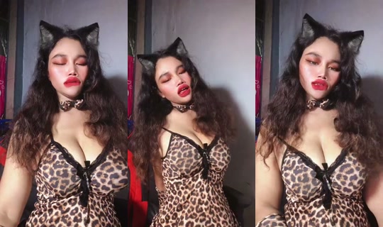 Tar44.44's Stream - Aug 6, 2026, 11:36 PM