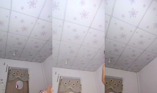 VJ.Fang's Stream - Jul 24, 2026, 1:37 AM