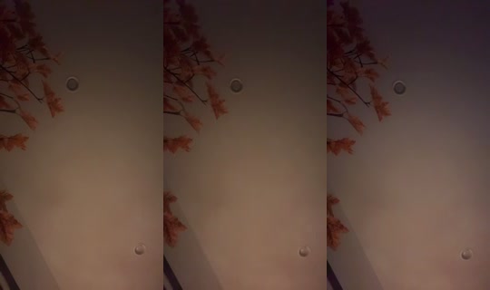 Wavesxraves's Stream - Jul 24, 2026, 5:48 AM
