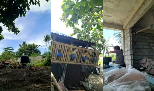 bels28's Stream - Jul 22, 2026, 2:56 AM