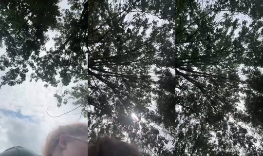 countrychick1's Stream - Jul 23, 2026, 6:20 PM