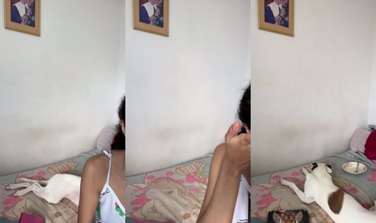 crespitapaisa's Stream - Aug 8, 2026, 8:51 PM
