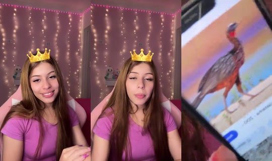 Stream ni crown.mirella - Hul 28, 2026, 10:41 PM