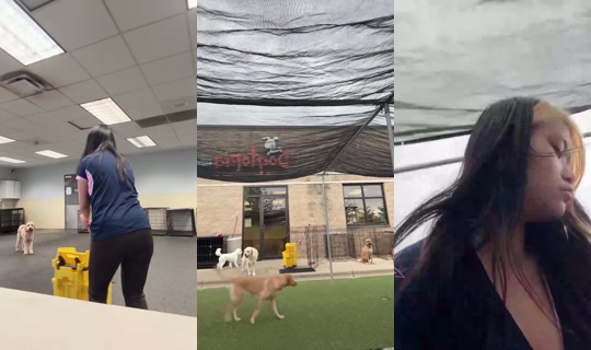 diariesbyjenna's Stream - Sep 21, 2026, 9:43 PM