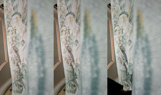 hanninha's Stream - Aug 26, 2026, 12:50 AM