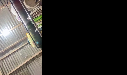 im_abby's Stream - Jul 29, 2026, 12:39 PM