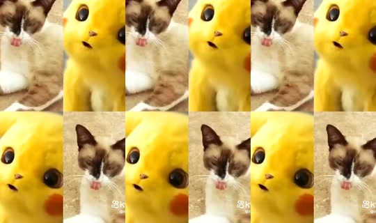 jujuloliff's Stream - Sep 13, 2026, 2:21 PM