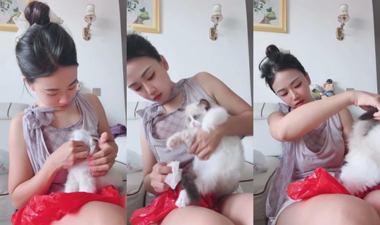 lu19's Stream - Jul 22, 2026, 5:51 AM