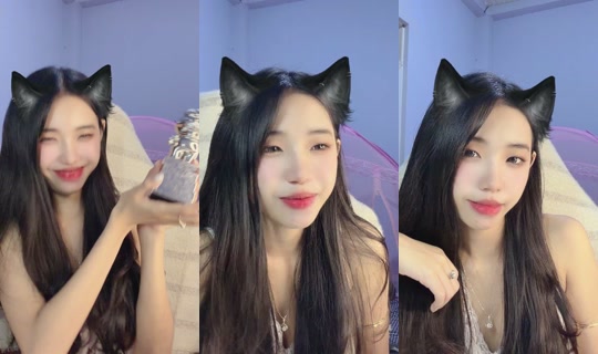 mai8834's Stream - Jul 26, 2026, 12:29 AM
