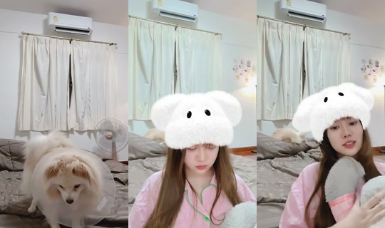maikaew.byp's Stream - Jul 27, 2026, 3:29 PM