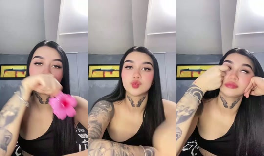 majo8118's Stream - Aug 21, 2026, 5:29 PM