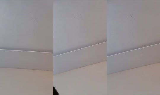 nuruumm's Stream - Aug 1, 2026, 2:48 PM