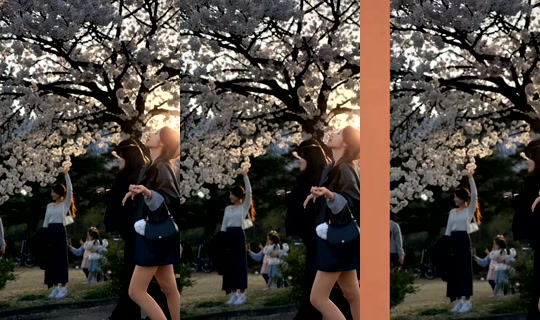 sunny0519 的直播 - 2026年10月20日 21:44