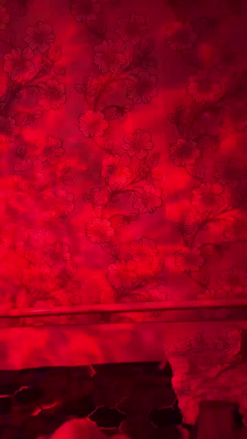 1485896104548638721