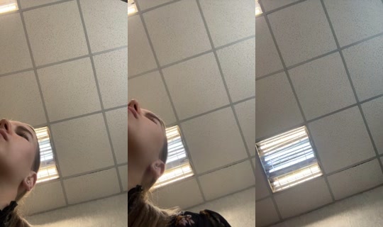1578472038152759297's Stream - Aug 11, 2026, 12:30 PM