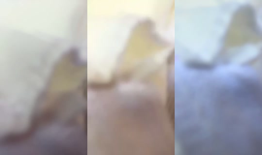 1752998802978135041's Stream - Aug 11, 2026, 1:20 PM