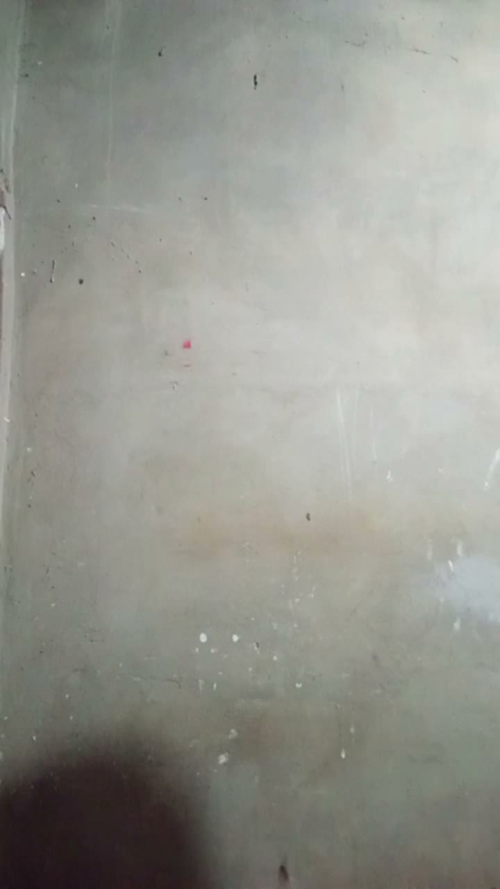 1888230211867565057