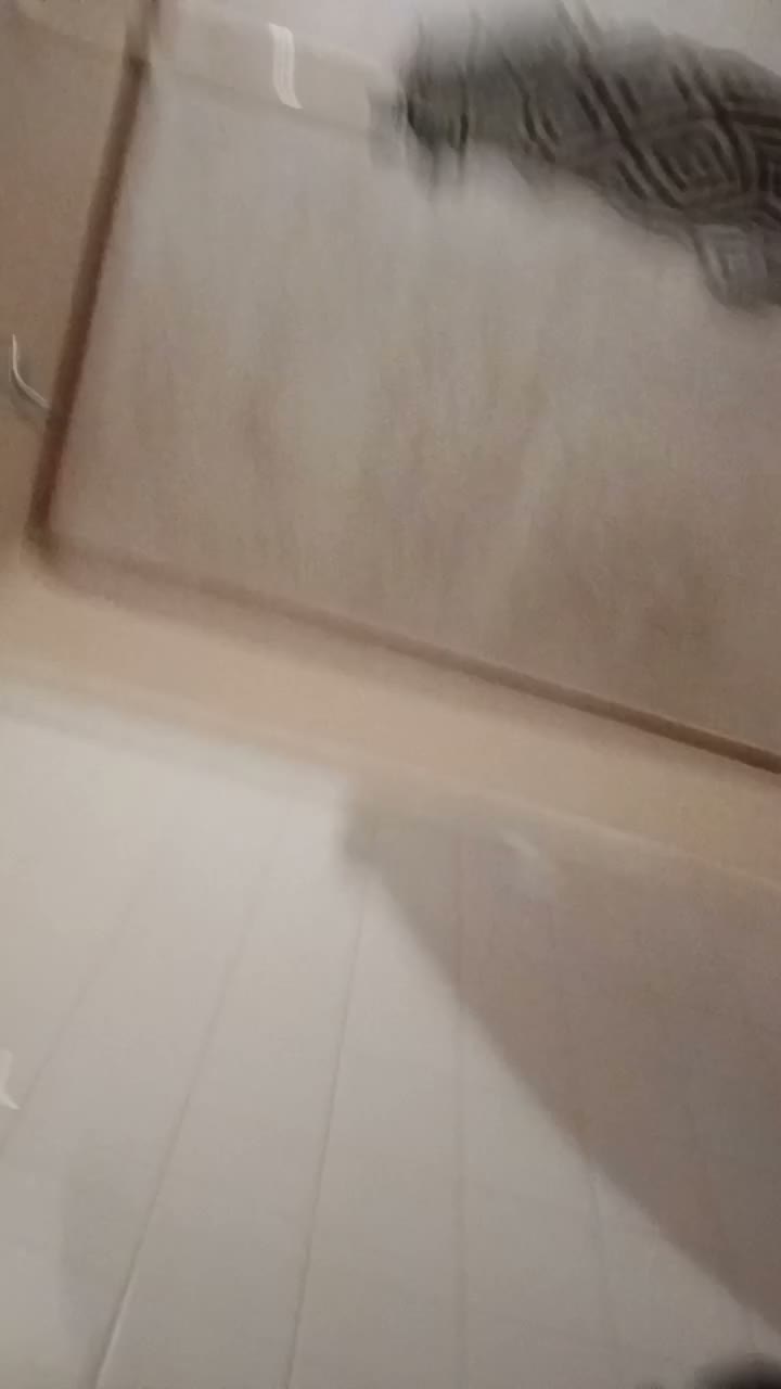 1895680232651266049