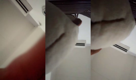1970233740949688321's Stream - Sep 14, 2026, 8:41 PM