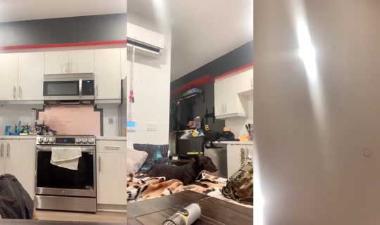 1973292448061300737's Stream - Aug 19, 2026, 11:14 AM