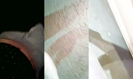 2023447874459414529's Stream - Oct 6, 2026, 7:36 PM