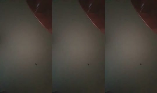 2067648447897808897's Stream - Jul 9, 2026, 7:26 PM