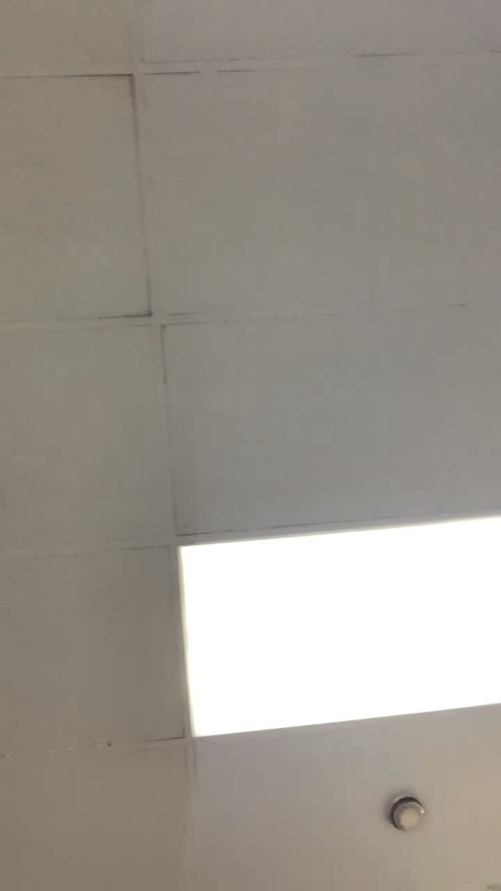 2080944775541611521
