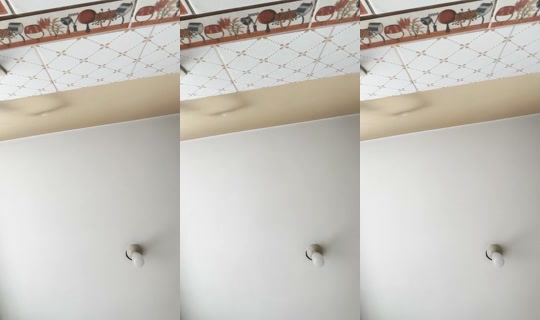 2082516248772817921's Stream - Sep 21, 2026, 4:22 PM