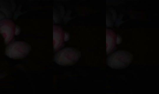 2093202537489935361's Stream - Sep 11, 2026, 3:56 AM