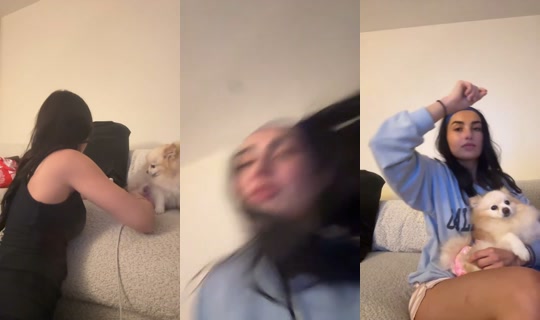 2101477835239107585's Stream - Sep 20, 2026, 3:35 AM