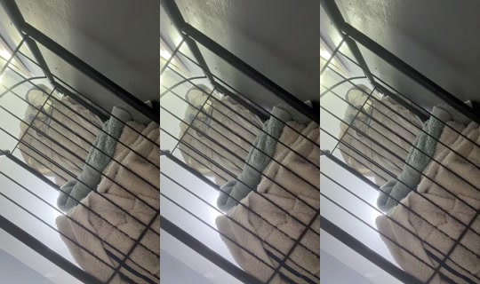 2107507948392197121's Stream - Oct 12, 2026, 8:21 PM