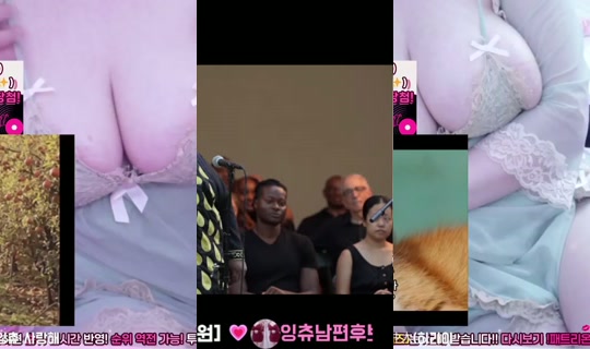 Stream ni aingchuu - Ago 8, 2026, 3:13 PM