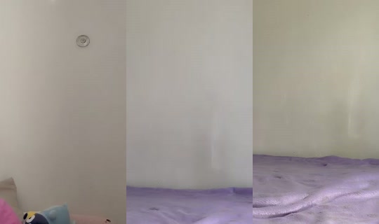 belobettytcg's Stream - Jul 31, 2026, 3:13 PM