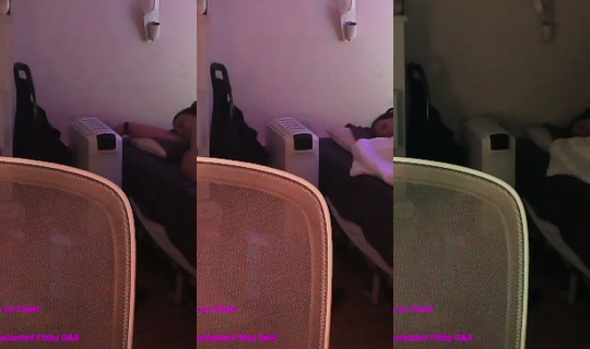 bertiesaurusx's Stream - Jul 26, 2026, 4:17 AM